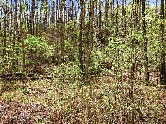 2nd image of LOT 48 Brandywine Dr