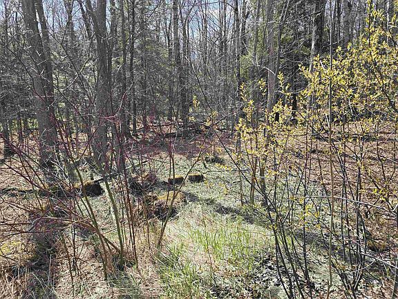 4th image of 0 Jacobs Ladder Road