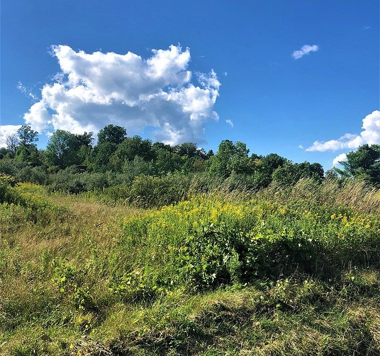 0 Demunn Rd Beaver Dams, NY, 14812 Apartments for Rent Zillow