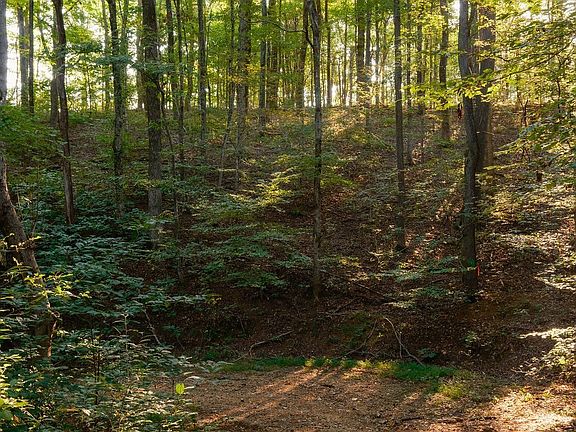93rd image of 3685 Martin Ervin Rd