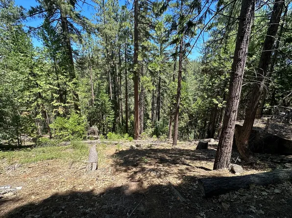 487 Canyon View Dr, Hathaway Pines, CA 95233