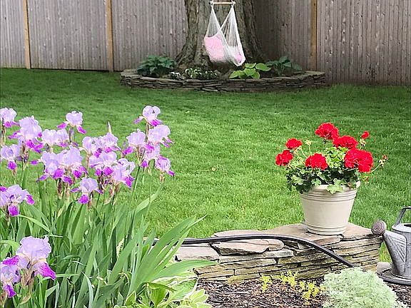 Side/Back Yard
