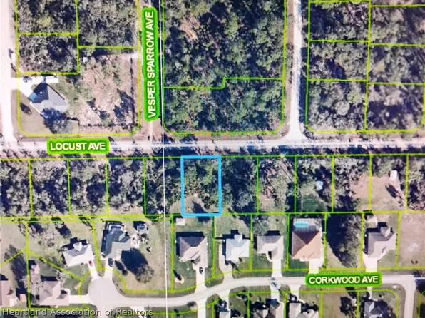 3158 Locust Ave, Lake Placid, FL 33852