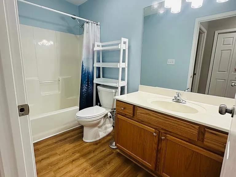 253 Dumplin Ln — Photo 11
