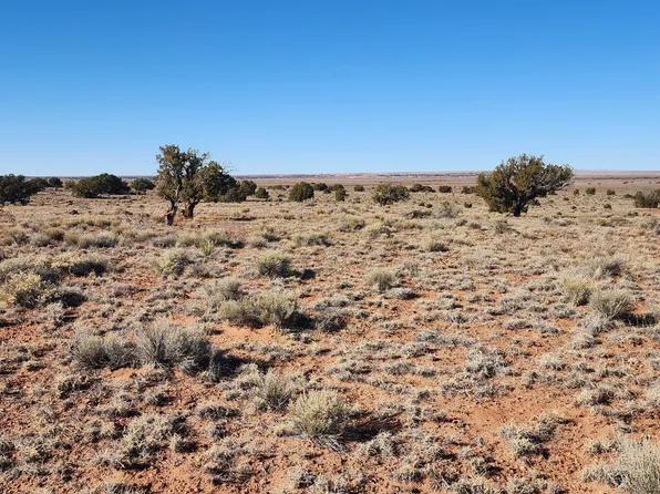 496 County Road 5152, Concho, AZ 85924