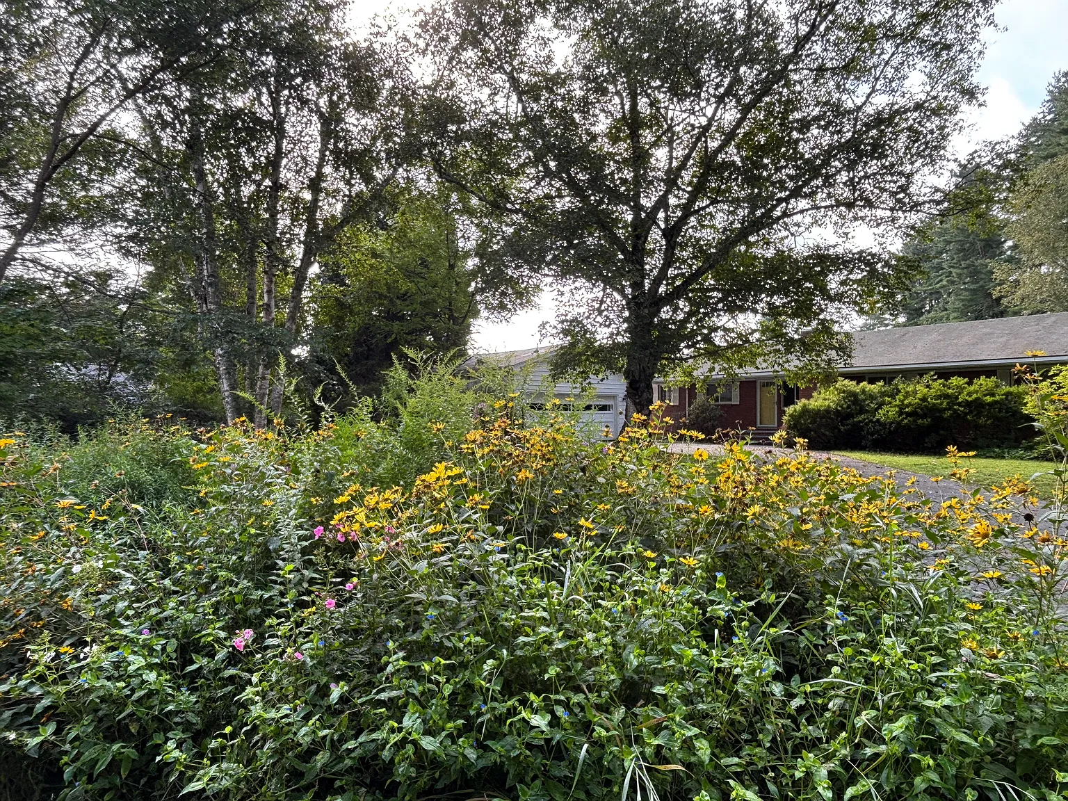 3 bed, 1812 sqft, $3,800 — Photo 2