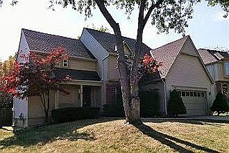 Shannon Valley Beauty!