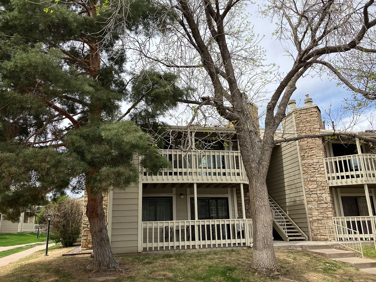 1 bed, 701 sqft, $1,500 — Photo 2