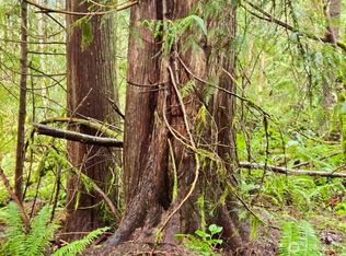 480 E Hedlund Dr, Shelton, WA 98584