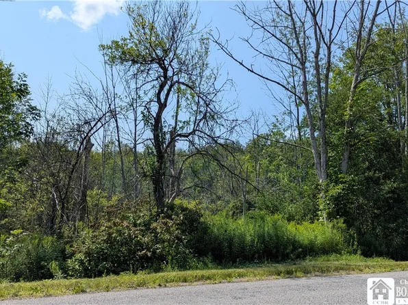 Beech Tree Rd Lot 31, West Valley, NY 14171