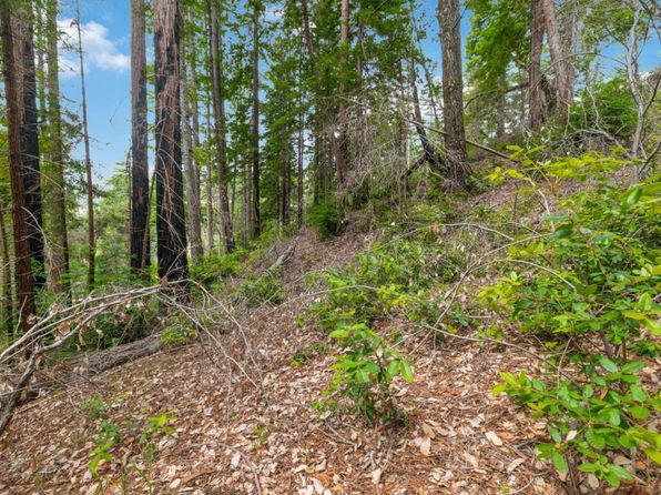 3 Bloom Grade Rd, Boulder Creek, CA 95006