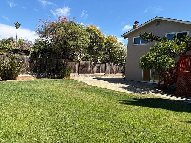 Backyard view