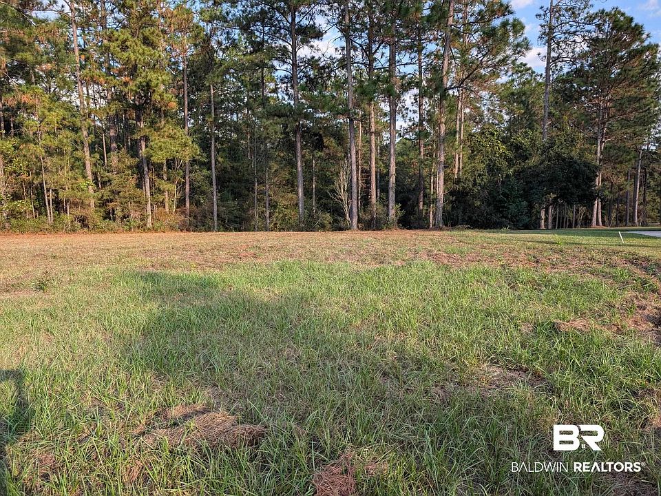 2nd image of 245 Juniper Creek Dr