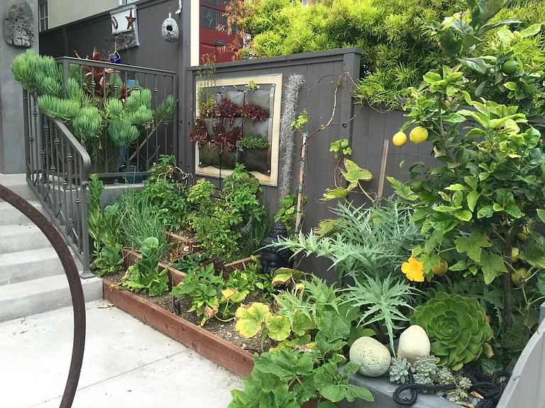 Vegetable Garden with Automatic Sprinklers