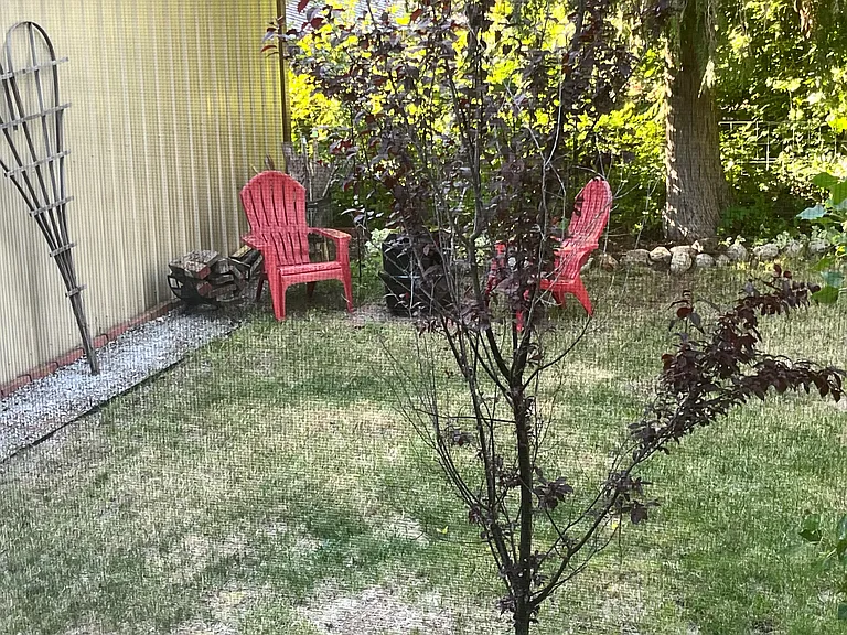 372 Sacheen Terrace Dr — Photo 14