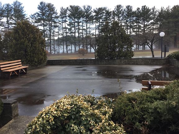 the park outside the condo building