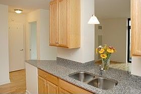 4th image of 1160 S Michigan Ave APT 1106