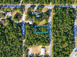 6634 N Pagoda Tree Ter, Hernando, FL 34442