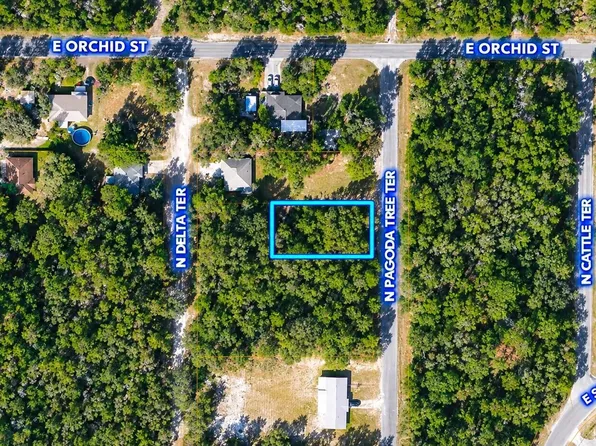 6634 N Pagoda Tree Terrace, Hernando, FL 34442
