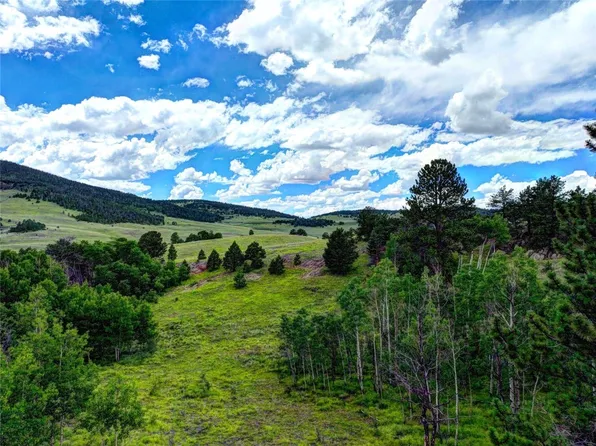 849 Castle Mountain Road, Guffey, CO 80820