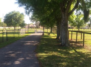 22329 Hale Rd, Land O Lakes, FL 34639