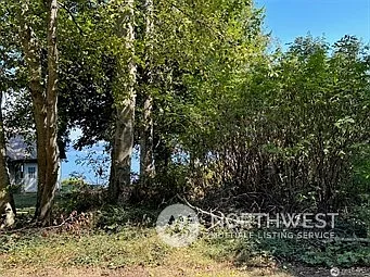 57 A Saratoga Drive photo 1