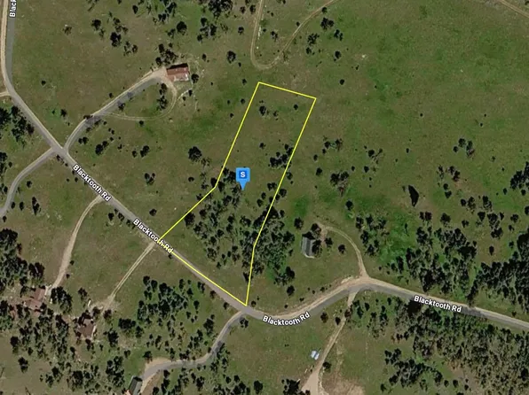 65 Blacktooth Rd, Big Horn, WY 82833