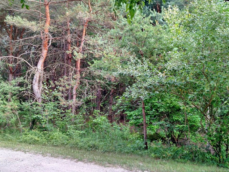 1st image of Norway Ct #12&13