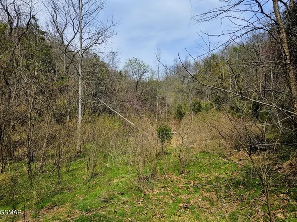 McAmis Hollow Rd, Newport, TN 37821