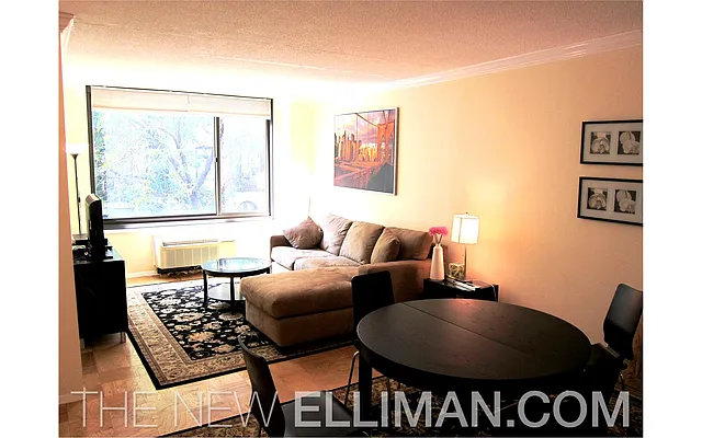 Rented by Douglas Elliman | media 19