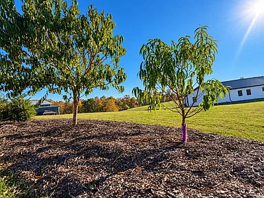 Property photo 48