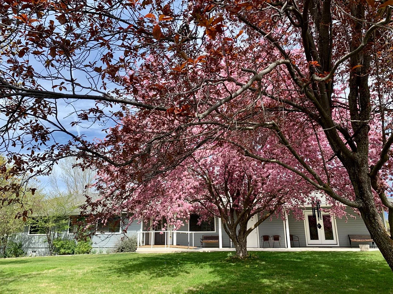 3591 Highway 66 photo 1