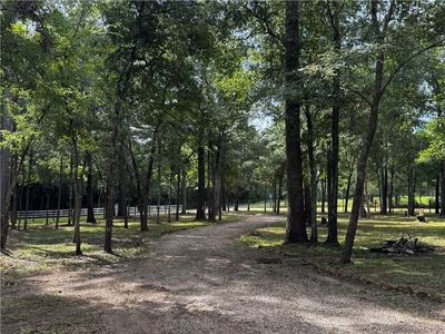 15728 Goldenrain Ln, Plantersville, TX, 77363