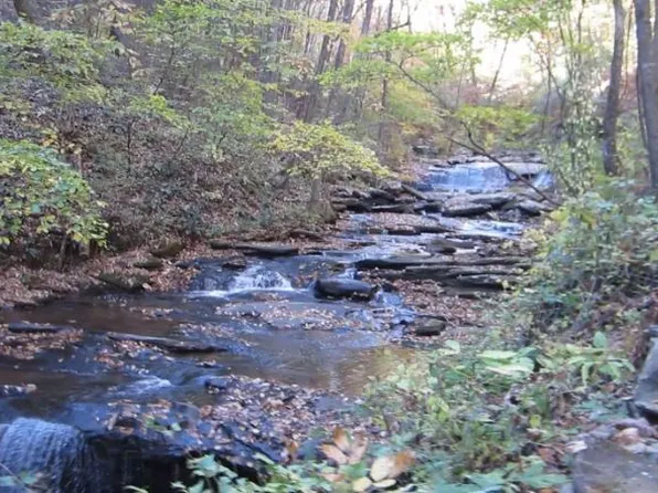 232 Andes Rdg, Ellijay, GA 30540