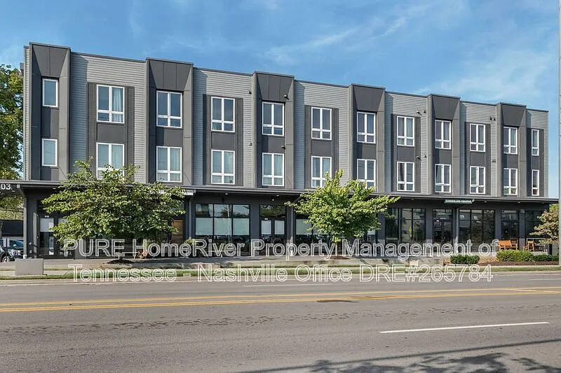 1 bed, 1.0 bath, 800 sqft, $1,659 — Photo 3