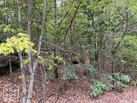 4th image of 1111 Bob Davis Mountain Rd