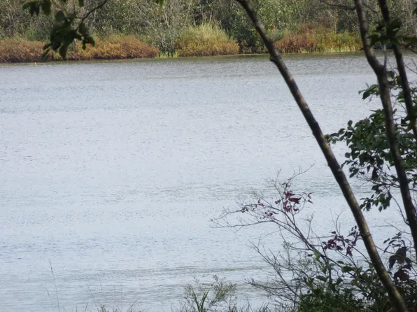 Point Birch Shore Dr Lot 119-W, Trout Lake, MI 49793