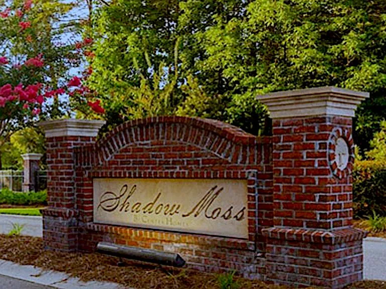 46 Brasstown Way — Photo 20