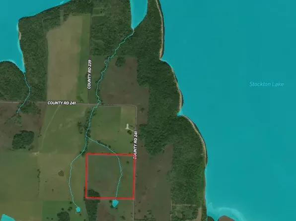 000 County Road 241 (Tract 5) #Tract 5, Aldrich, MO 65601