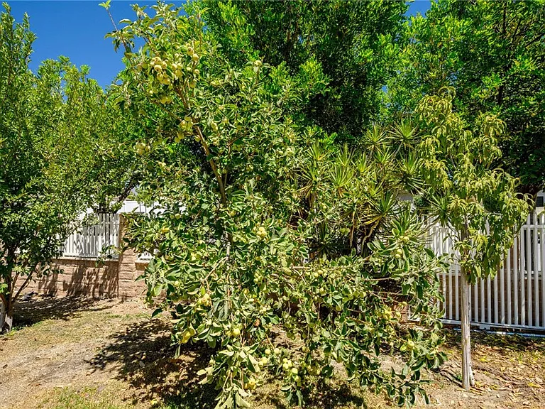 7823 Ampere Ave — Photo 15