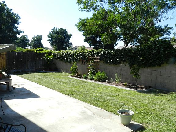 Backyard (towards northwest)