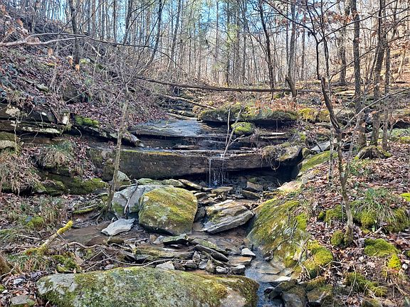 2nd image of Bluewater Trce