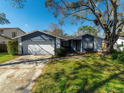 15716 Country Lake Dr, Tampa, FL, 33624