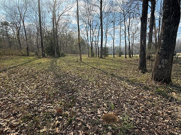 5th image of 38 Shadow Creek Loop