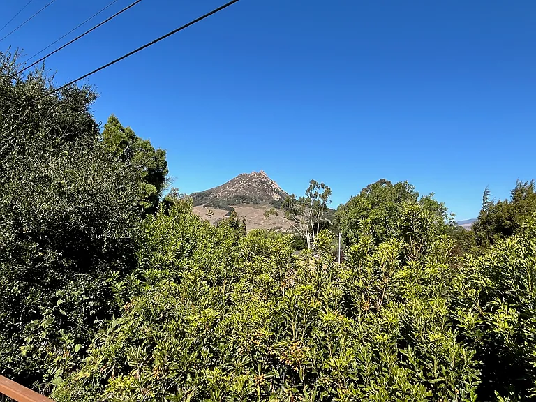 242 Luneta Dr — Photo 13