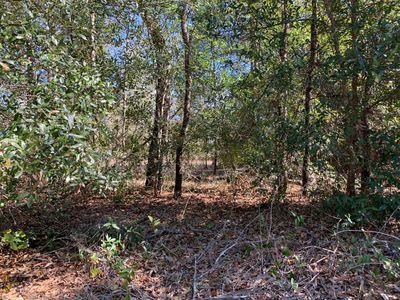 0 SW Hunter Hill Avenue, Dunnellon, FL, 34431
