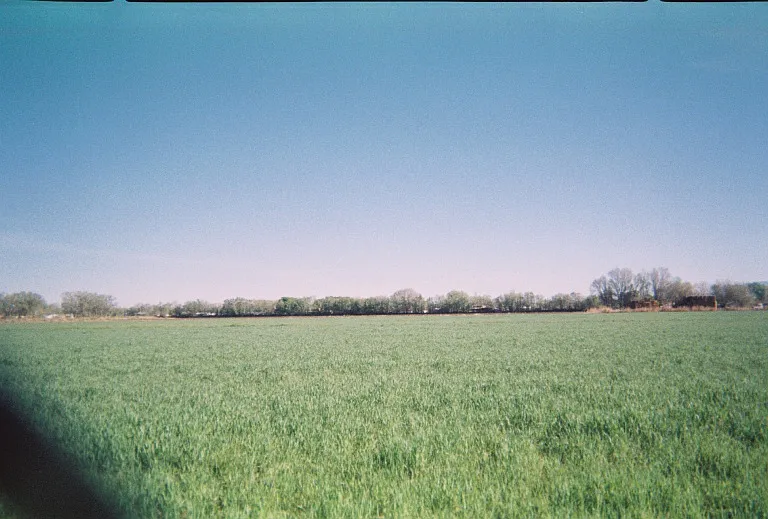 View from backyard