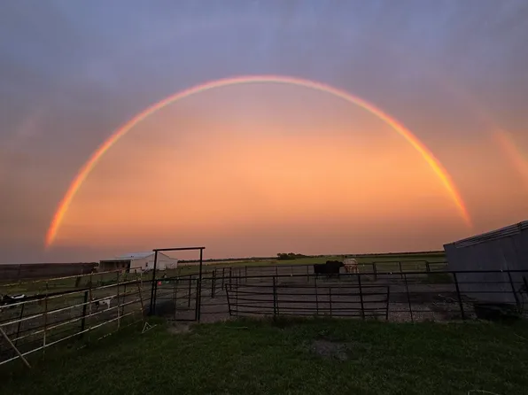 554 Hampel Rd, Palmer, TX 75152