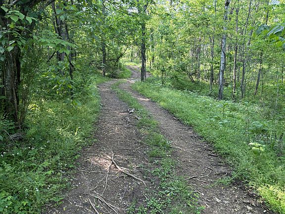 3rd image of 1 Lick Creek Rd