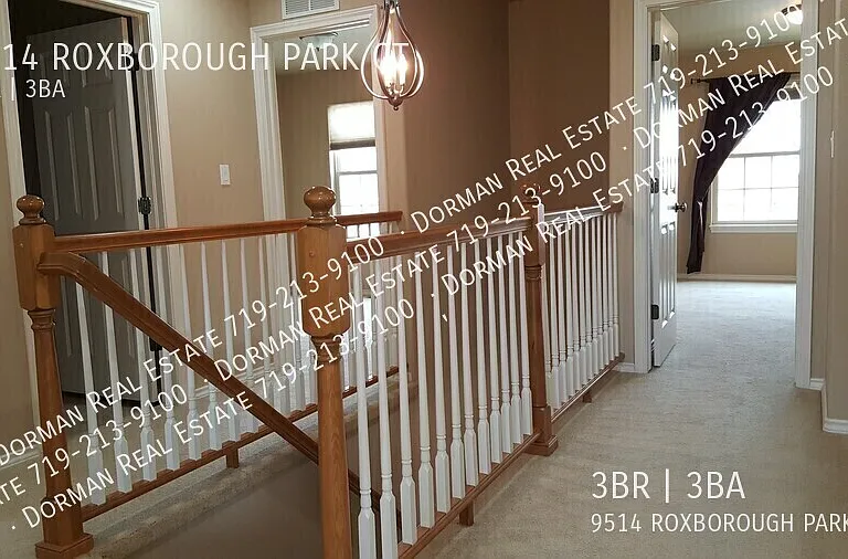 9514 Roxborough Park Ct — Photo 11